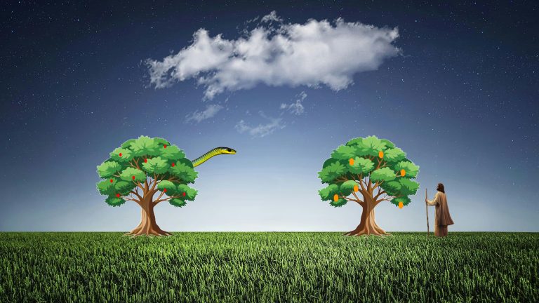 L’Arbre de Vie et l’Arbre de la connaissance du bien et du mal