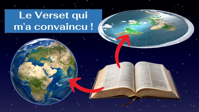 La doctrine des platistes